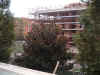novembre-3.jpg (100247 byte)